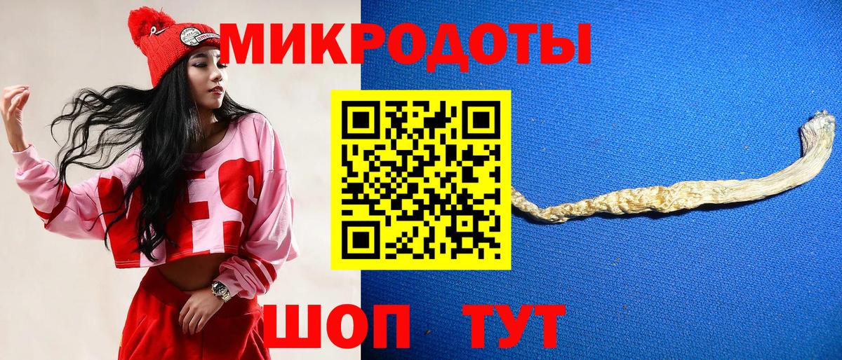 Галлюциногенные грибы Magic Shrooms  Вход с VPN  Галлюциногенные грибы Magic Shrooms  Гусиноозёрск 