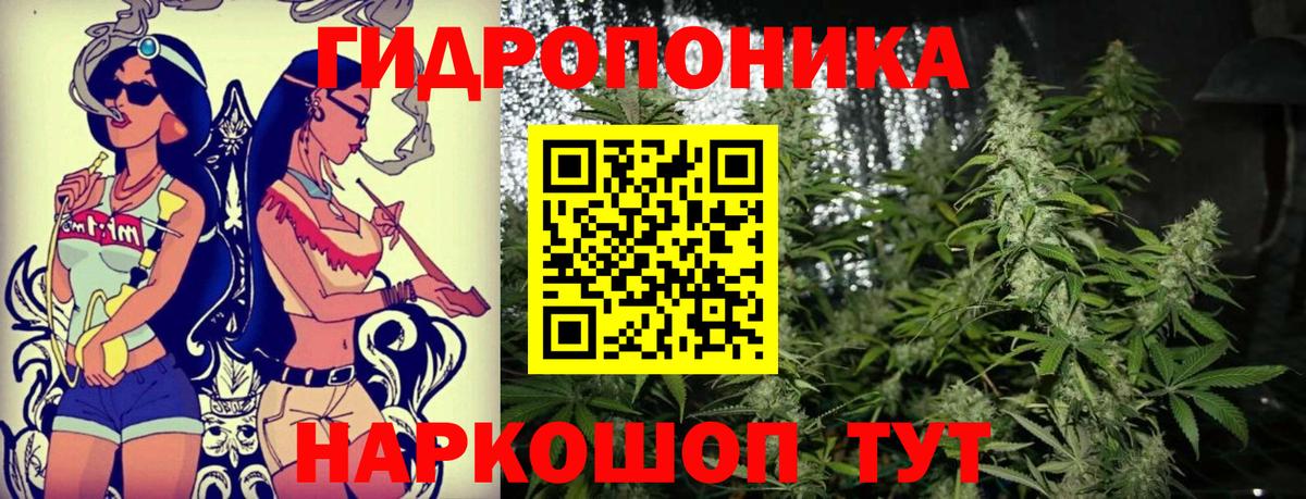 Бошки марихуана гибрид  Вход с VPN  Каннабис SATIVA & INDICA  Гусиноозёрск 